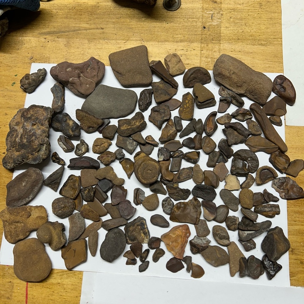 Beautiful Ironstone Concreations
I found these today 2/16/25 in Albuquerque Nm